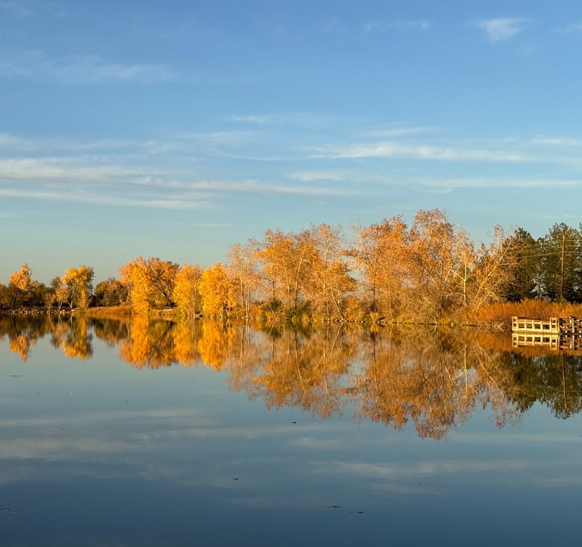 Golden autumn trees reflected on a still lake